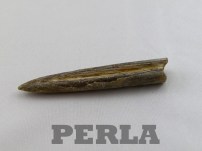 1102-1173.jpg