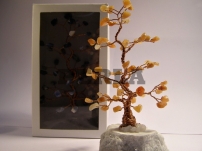 409-461.jpg