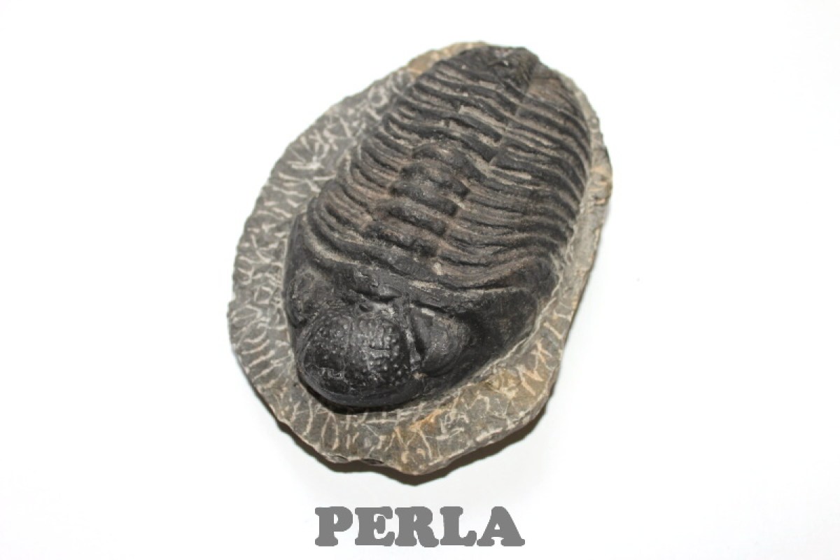 1705-2070.jpg