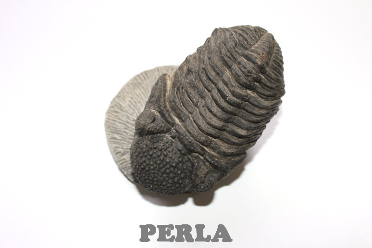 1705-2070.jpg