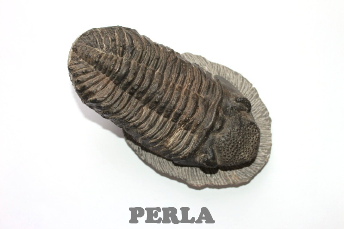 1705-2070.jpg