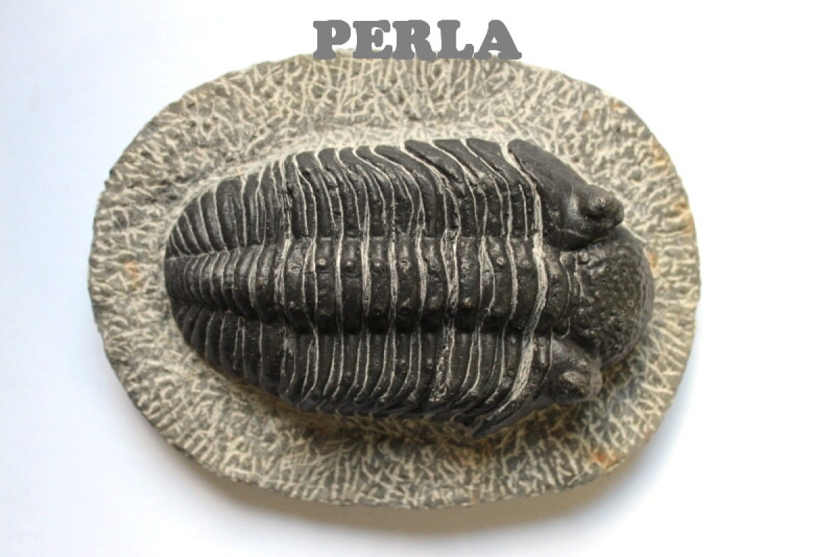 1705-2070.jpg